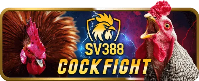 Đá gà cựa dao ok8386 nổ hũ